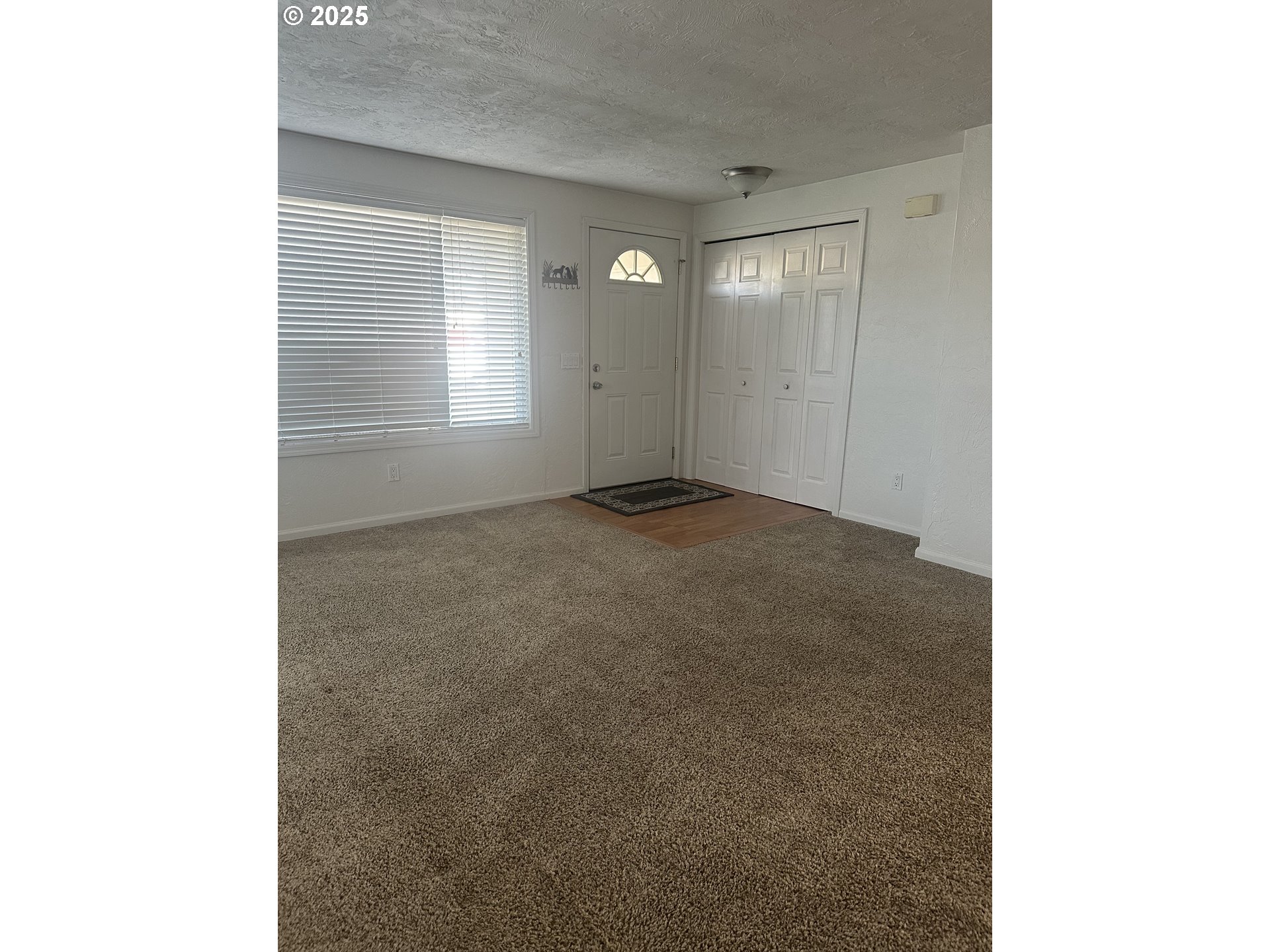 445 TIMOTHY ST