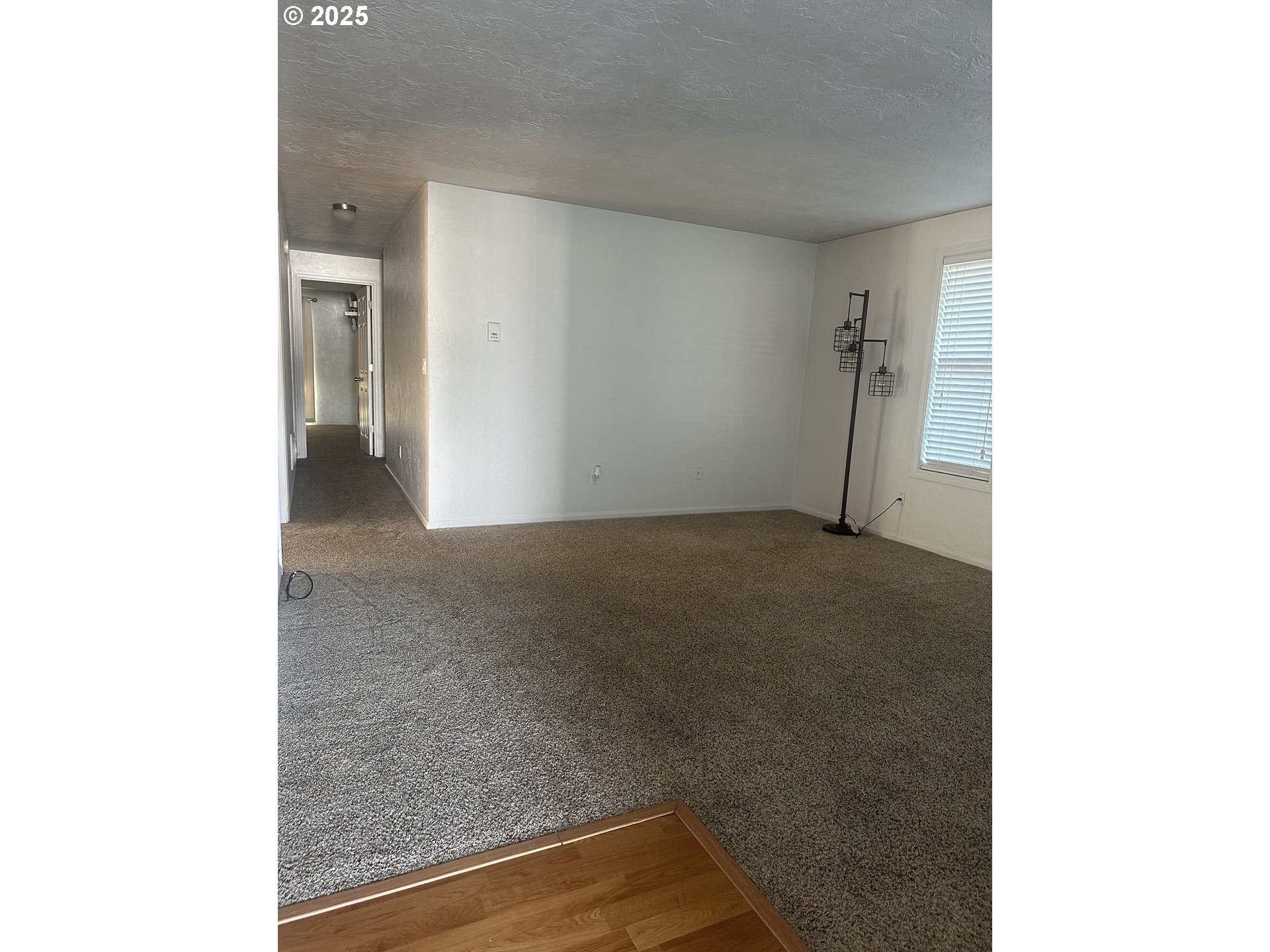 445 TIMOTHY ST