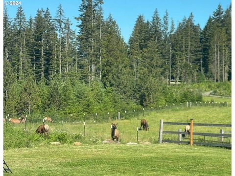 A home in Estacada