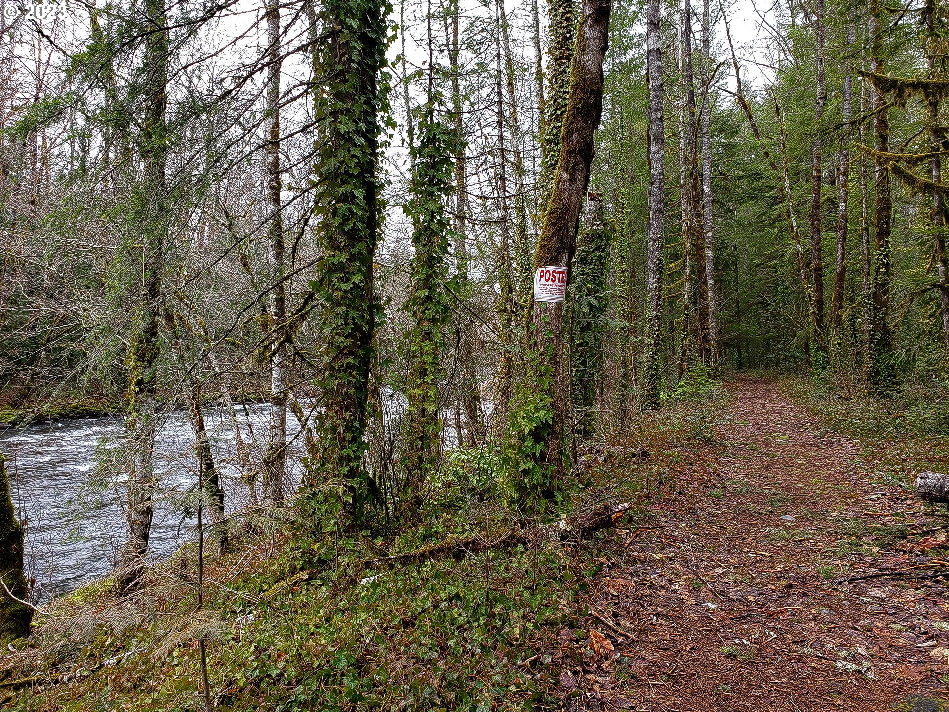 Brightwood, Oregon 97011, United States, ,Land,Active,71100