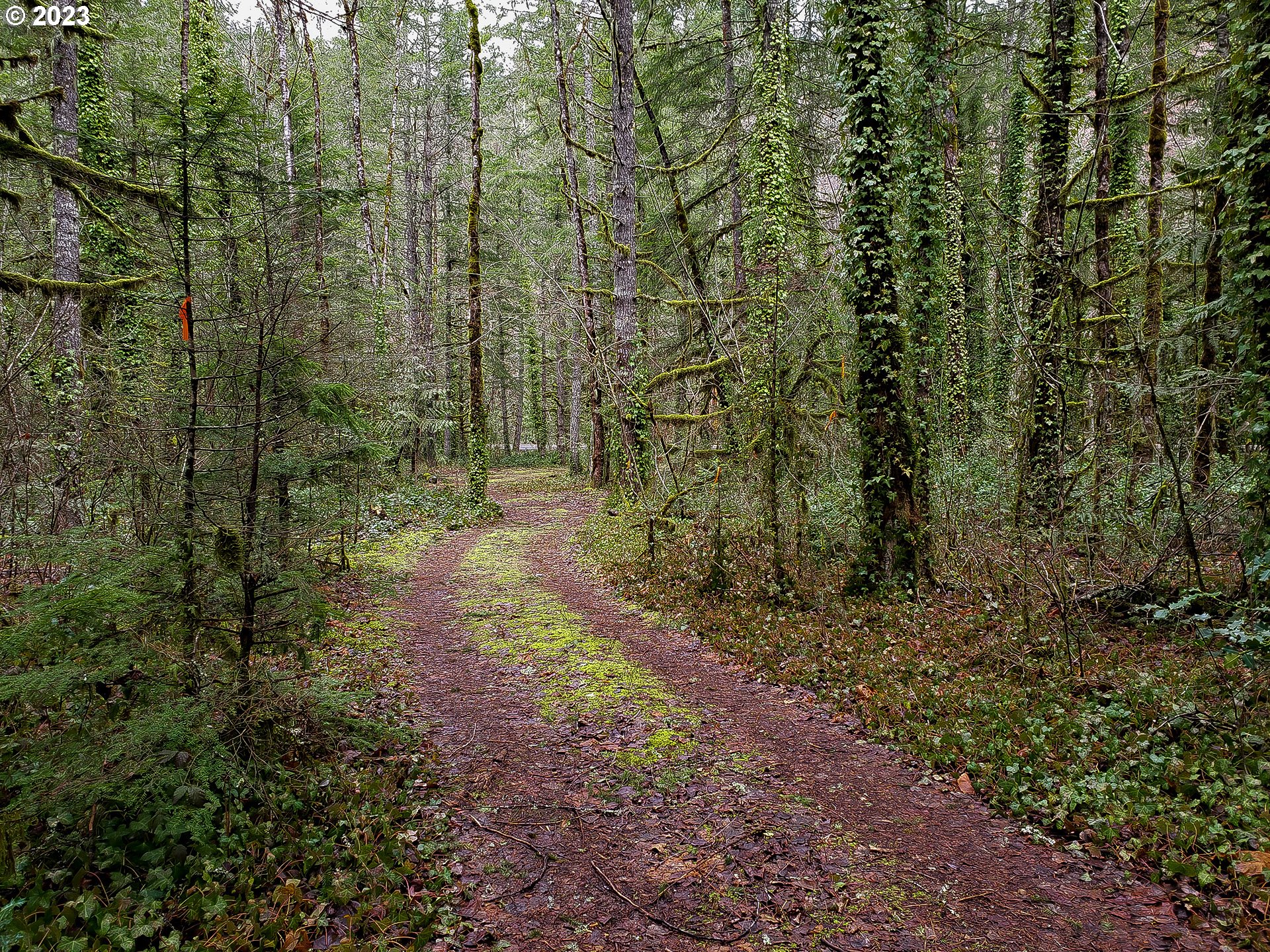 Brightwood, Oregon 97011, United States, ,Land,Active,71100