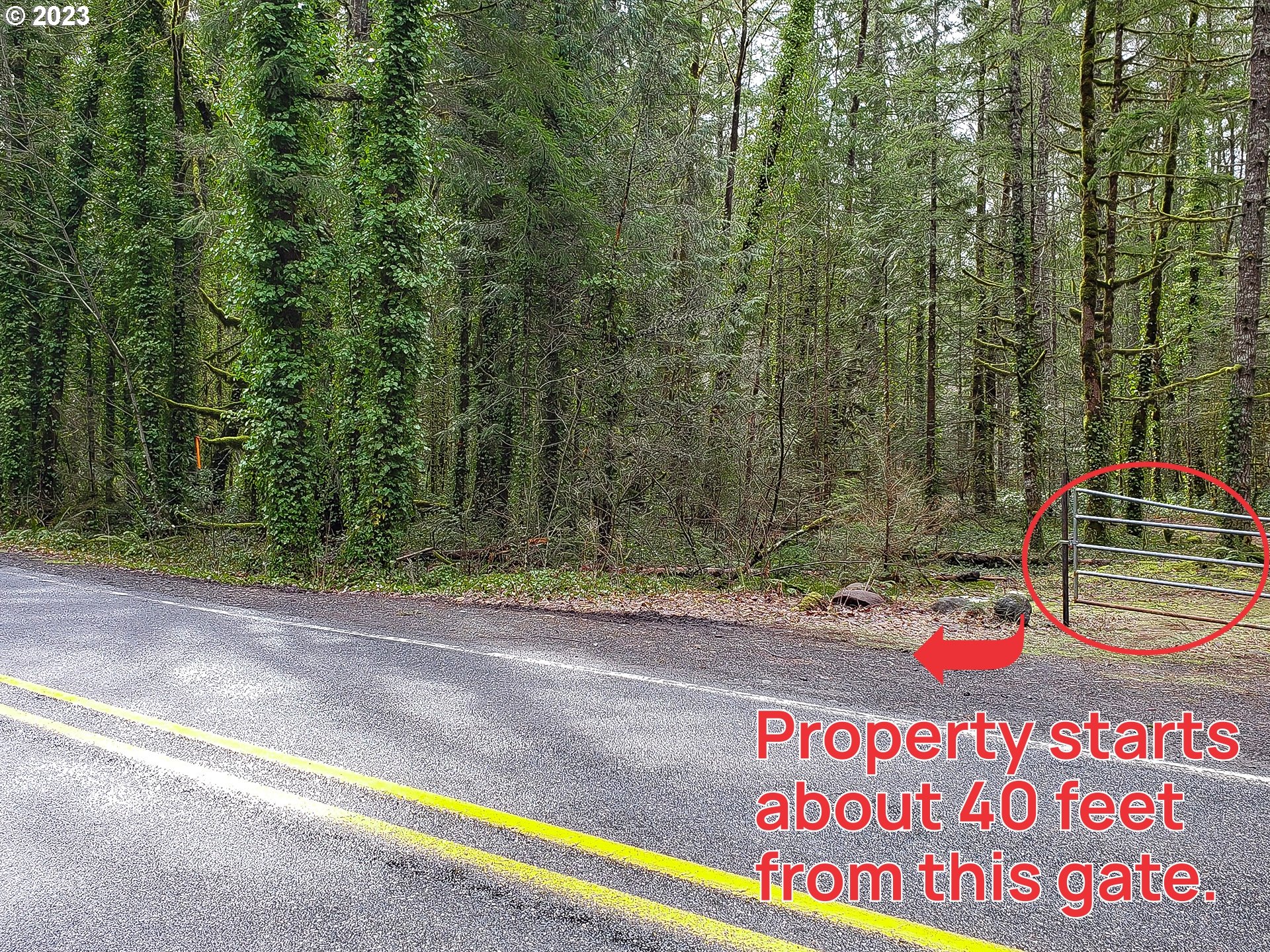 Brightwood, Oregon 97011, United States, ,Land,Active,71100