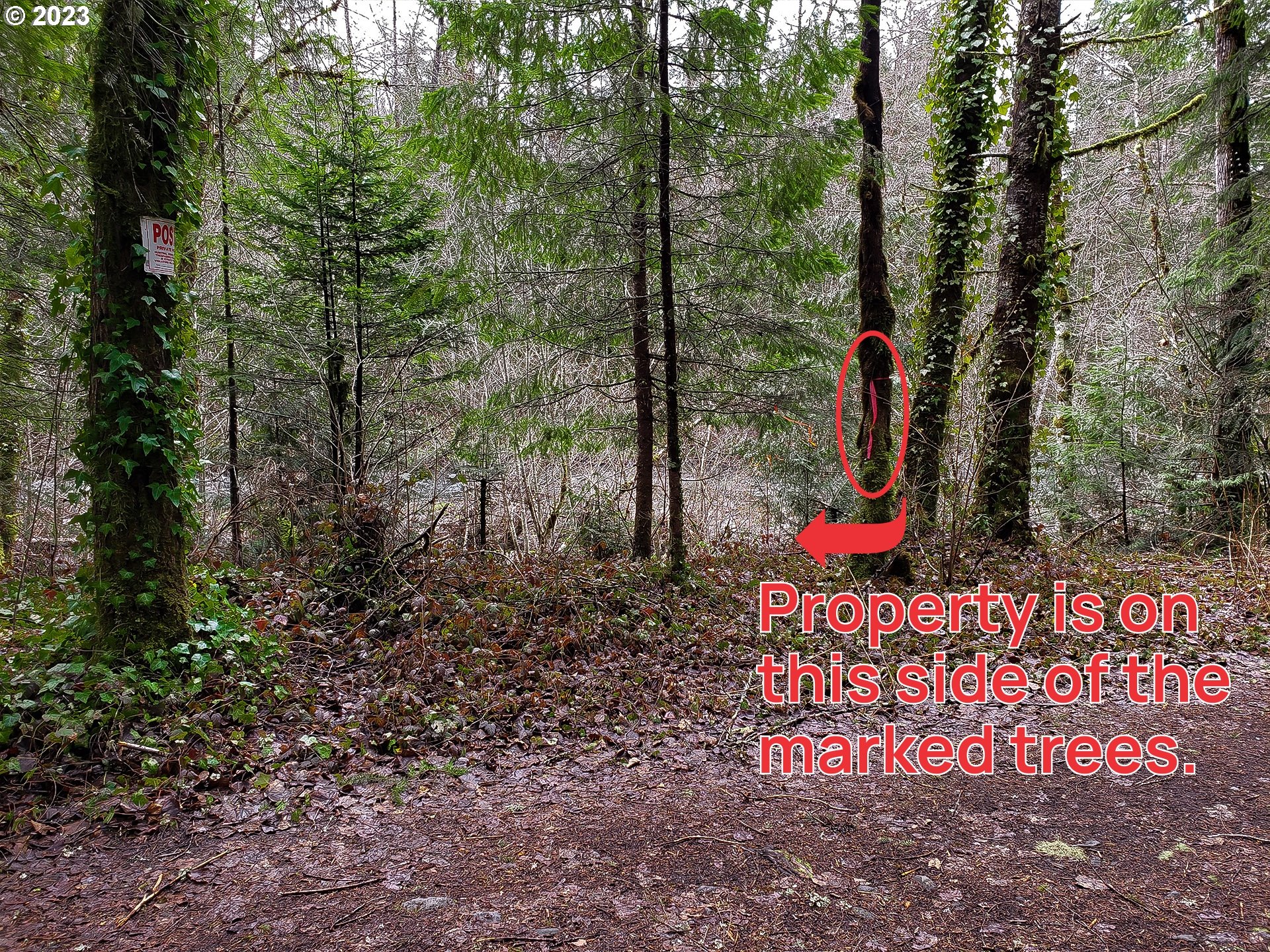 Brightwood, Oregon 97011, United States, ,Land,Active,71100