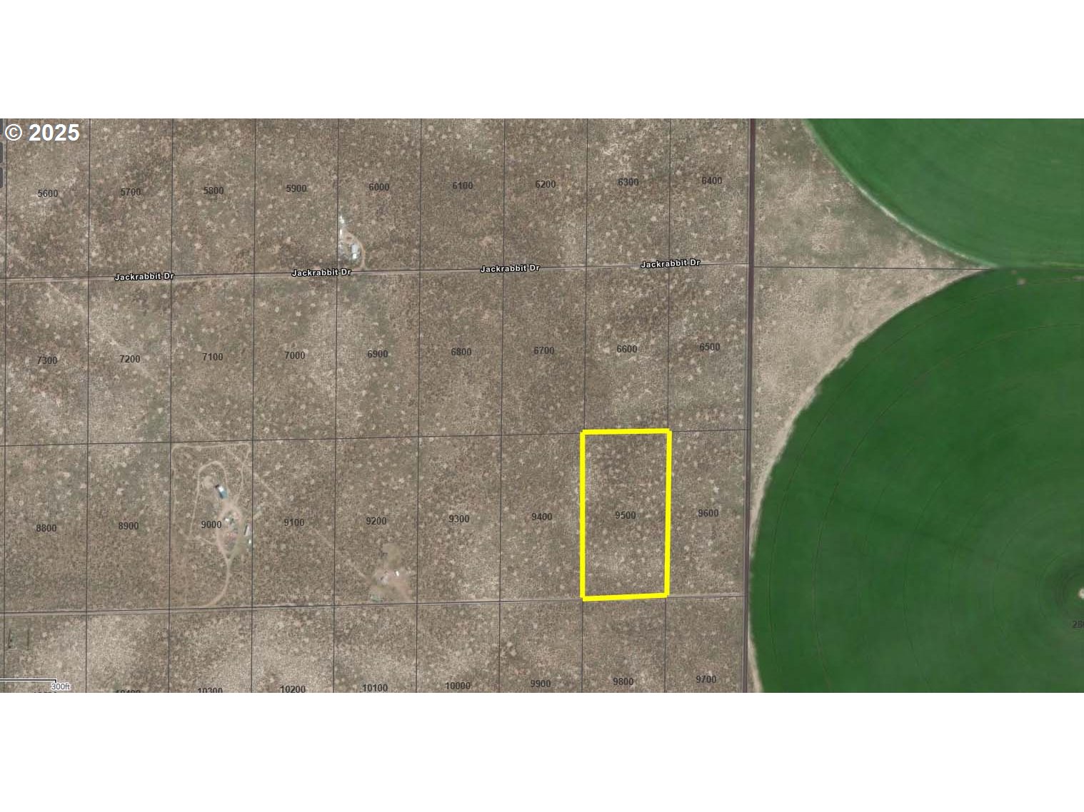 Listing image 7