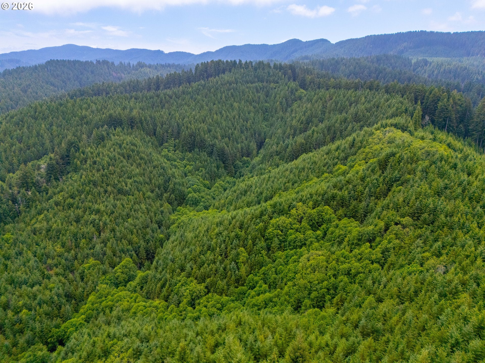 USFS 5591