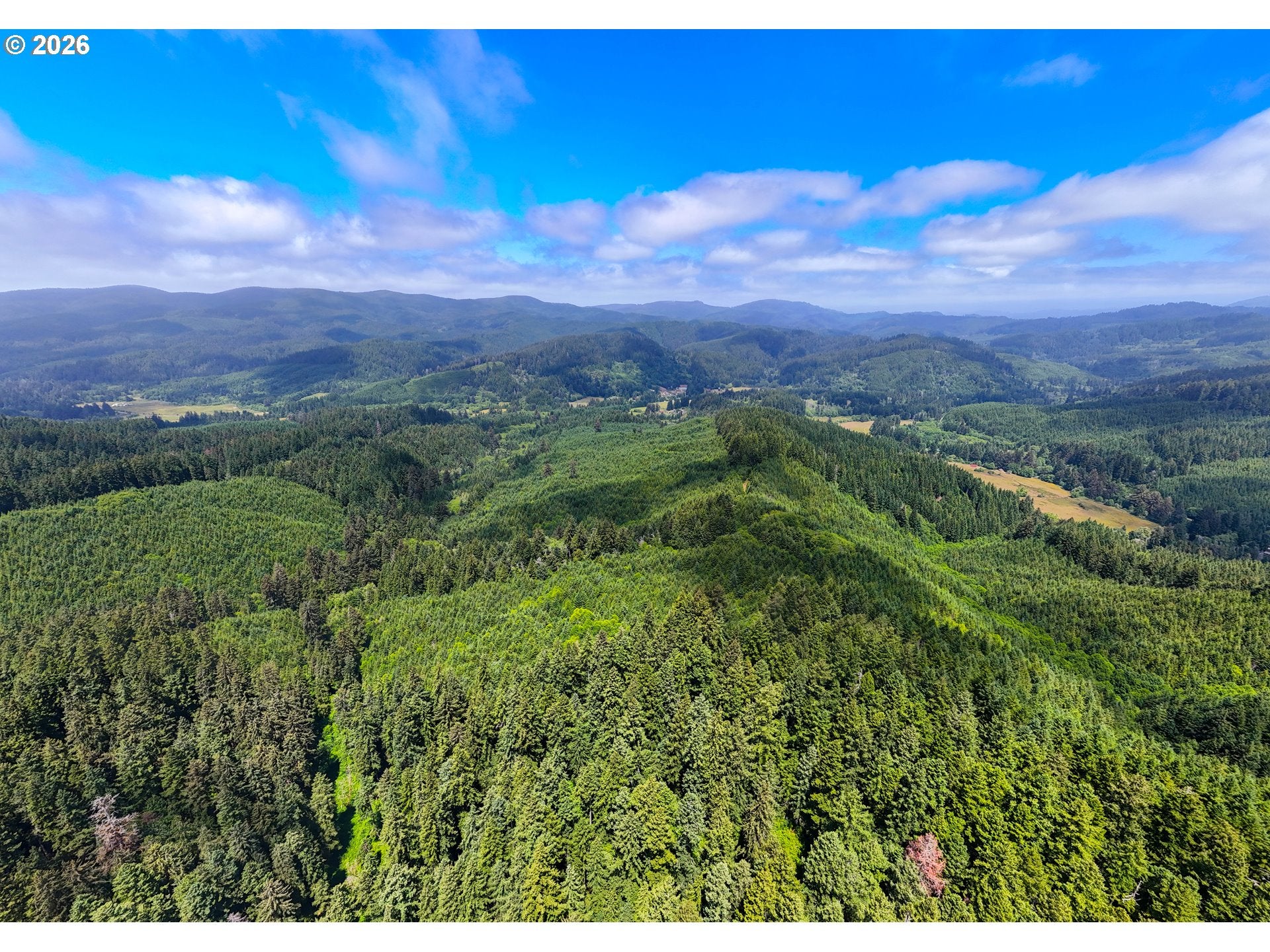 USFS 5591