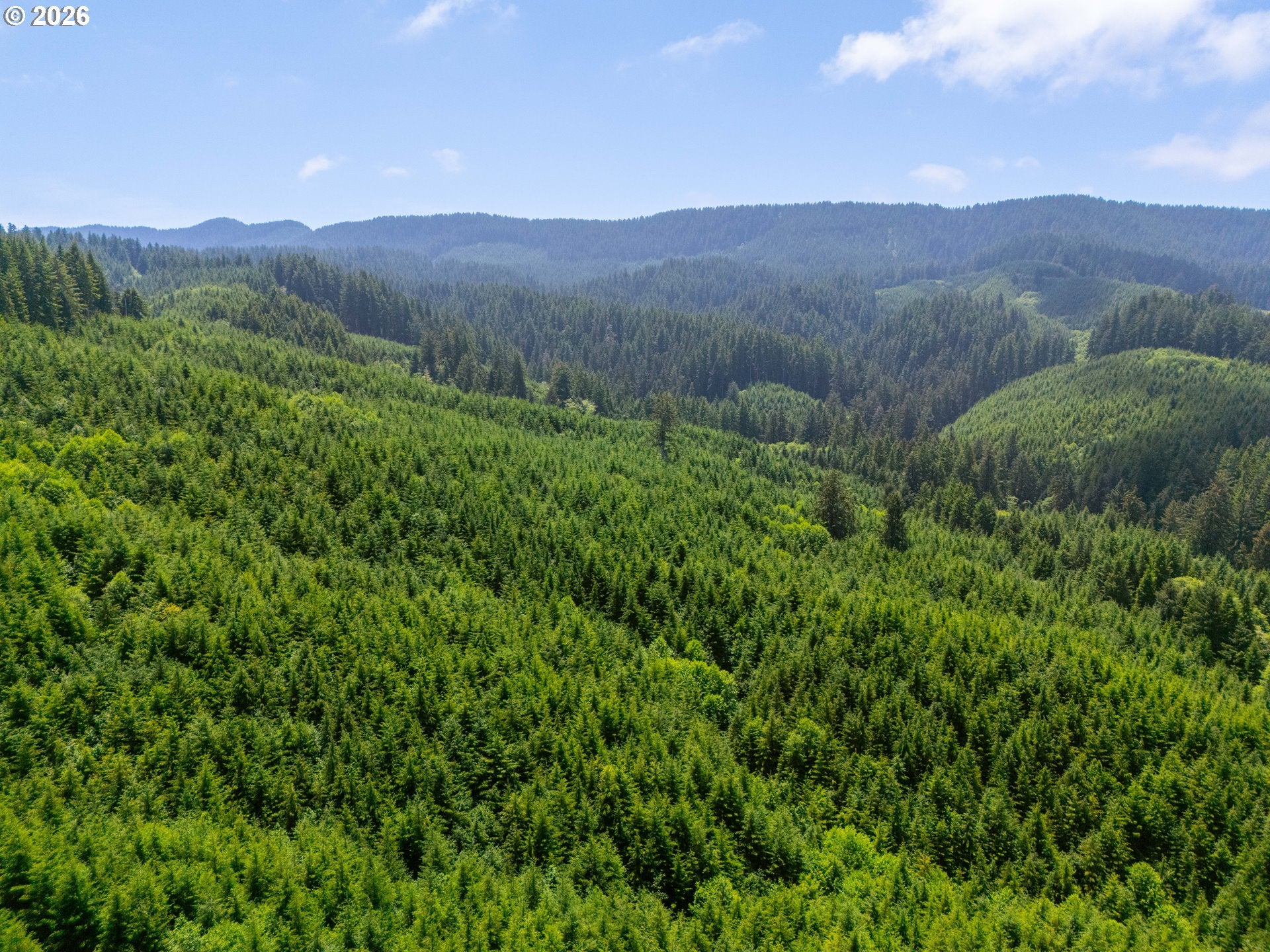 USFS 5591