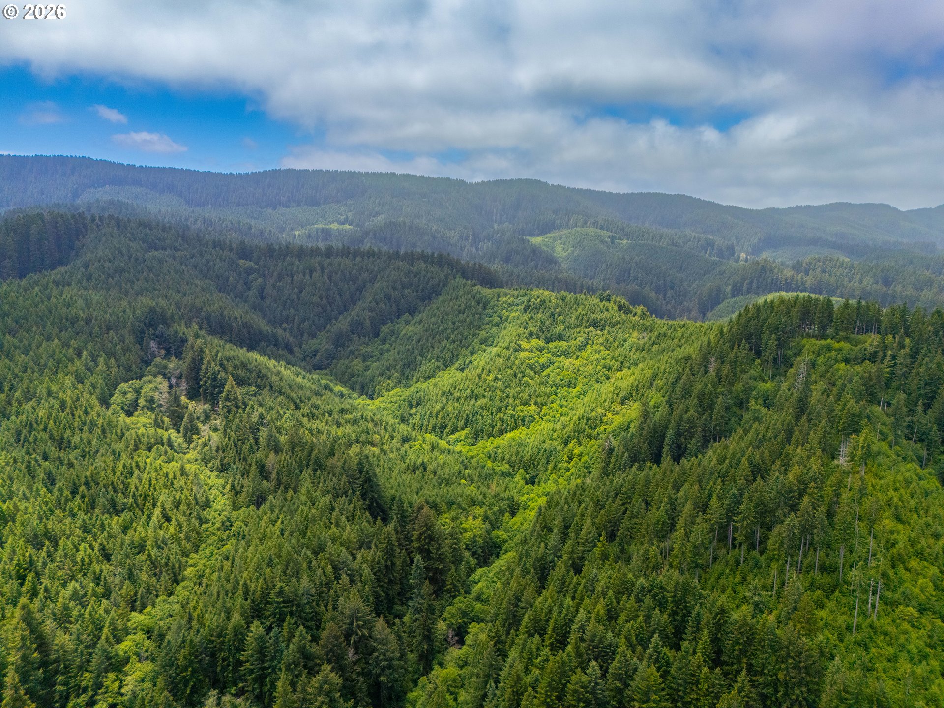 USFS 5591