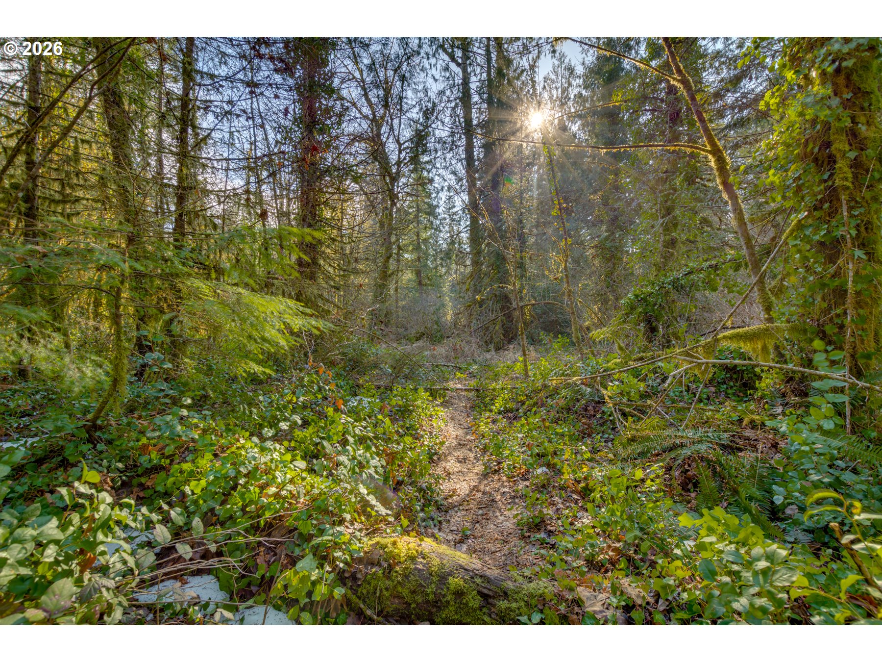 64281 E BRIGHTWOOD LOOP RD