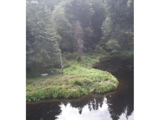 71563 FISHHAWK RD, BIRKENFELD, OR 97016 - Image 4ce1768748eeeaefeabcd996cf32df44/1510189062