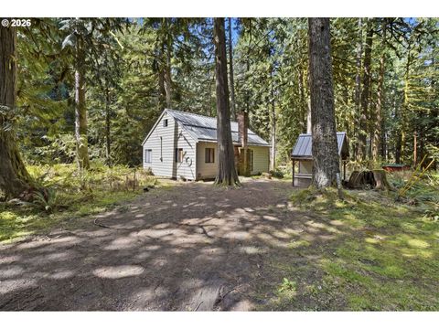 76270 E RD 28 Rhododendron OR 97049