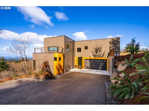 Photo of 30108 NE Spud Mt Rd, Camas, WA 98607 (MLS # 732069933)