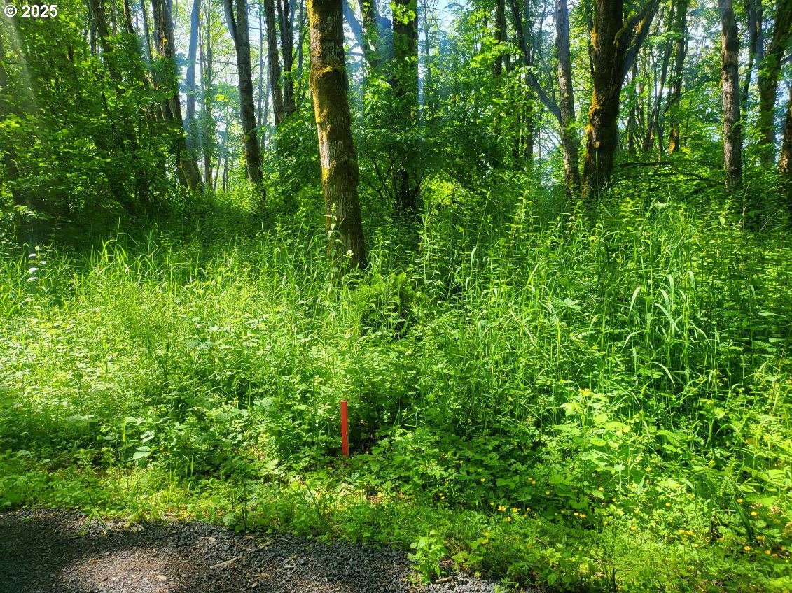 Lot 22 Bonneville DR
