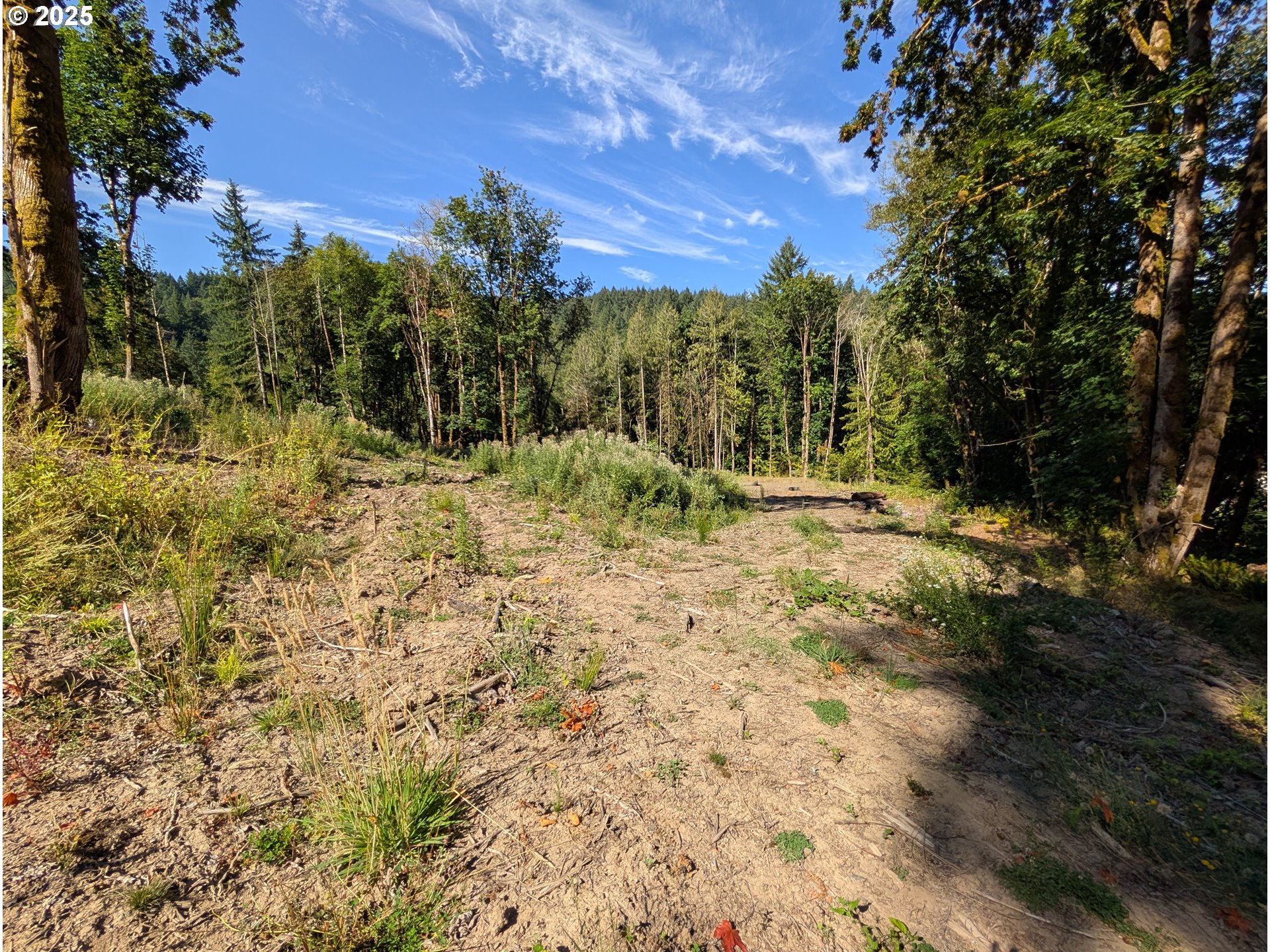 NW CORNELIUS PASS RD