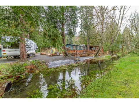 A home in McKenzie Bridge