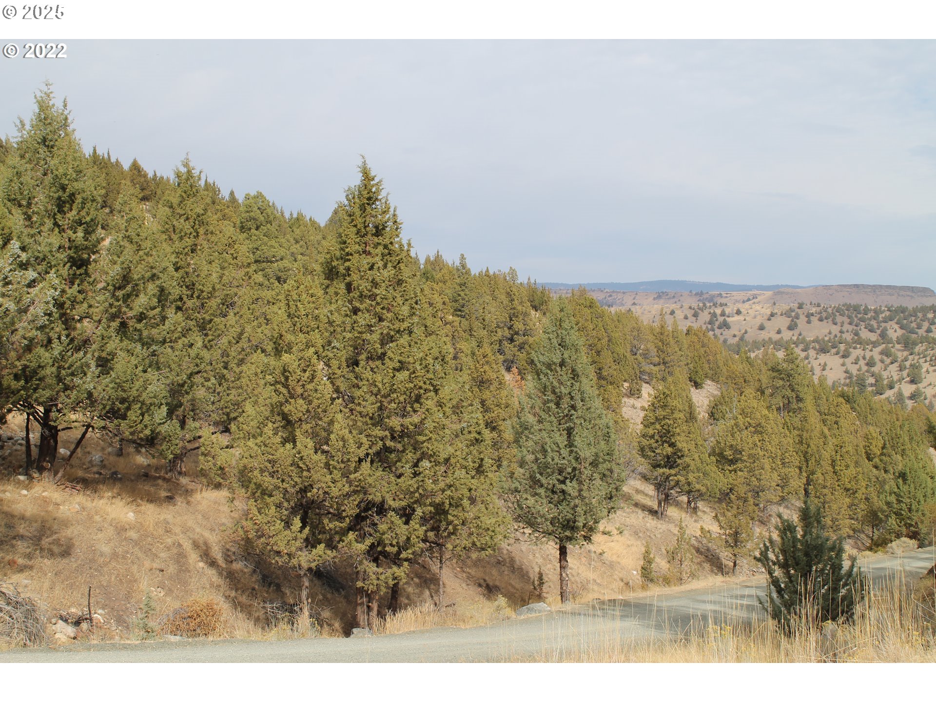 0 Cougar Ridge Road