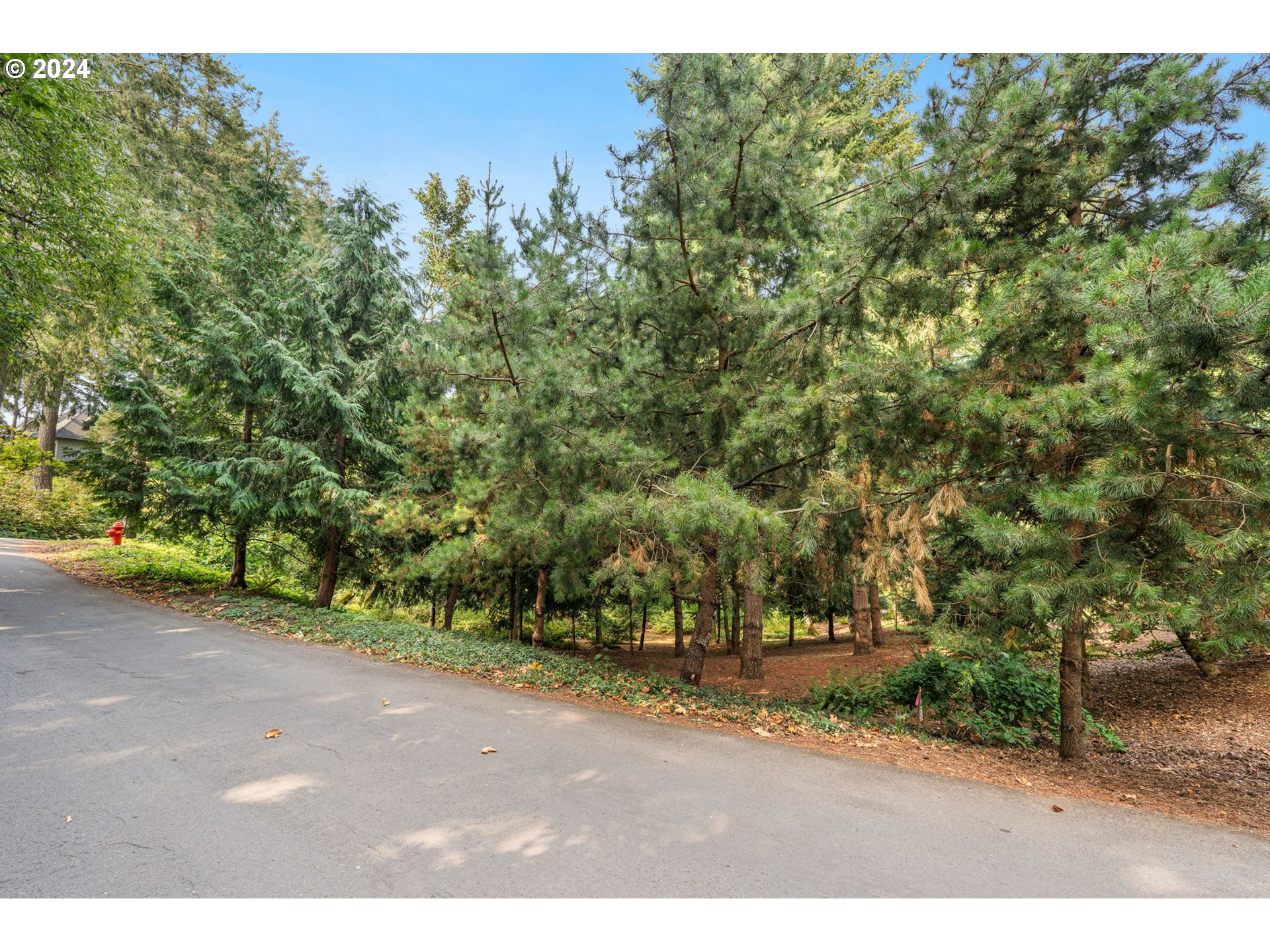 2217 Prestwick RD