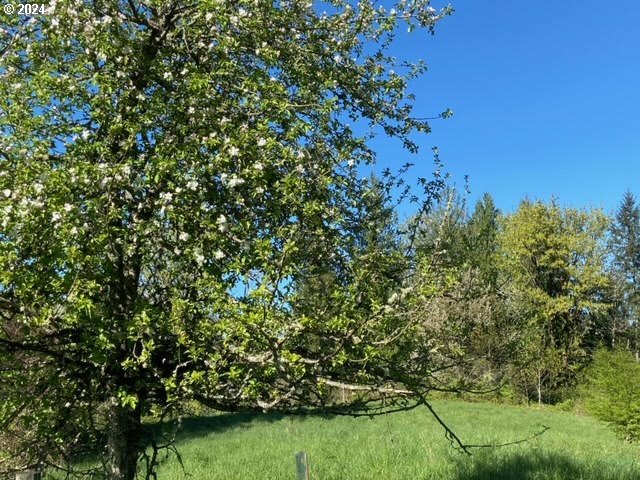 Branch Road