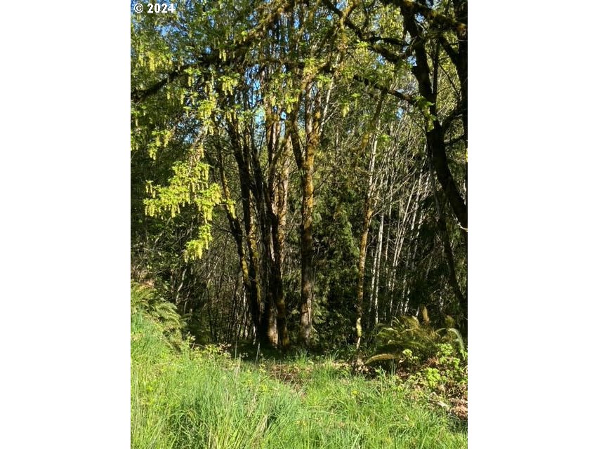 Branch Road