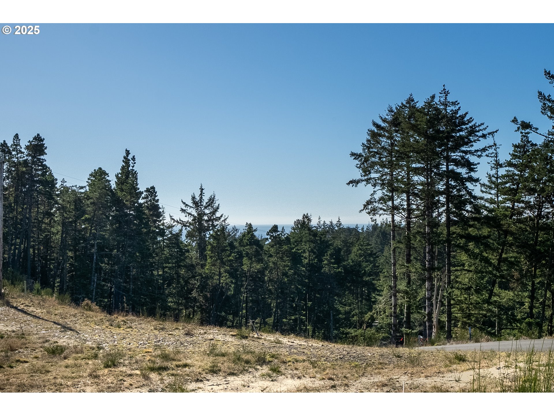 Oceanside, Oregon 97134, United States, ,Land,Active,9423