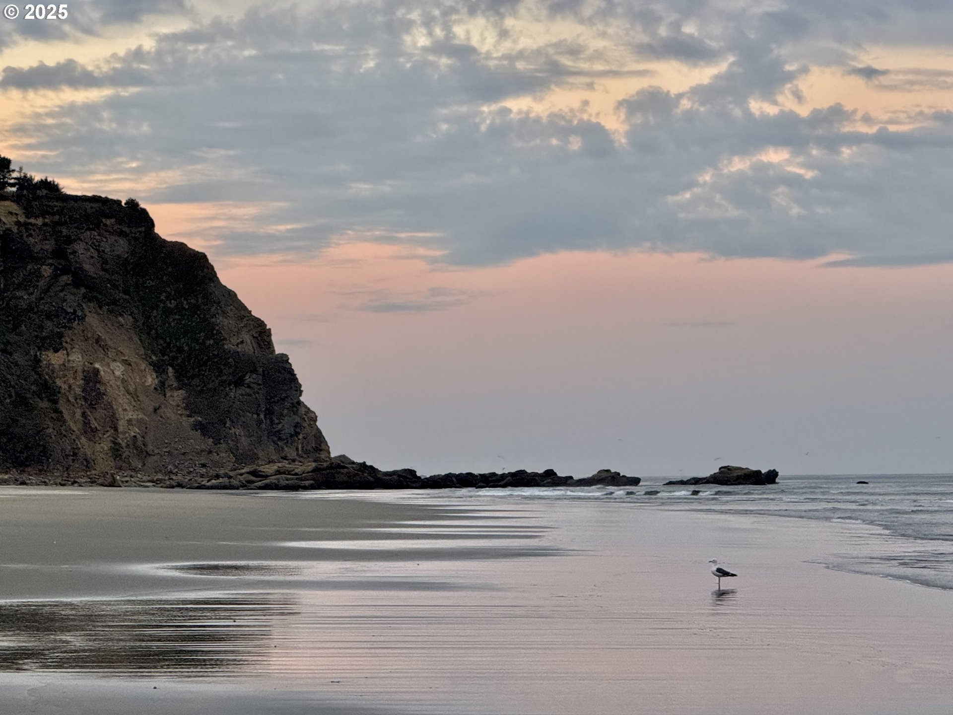 88300 Pacific Surf LN