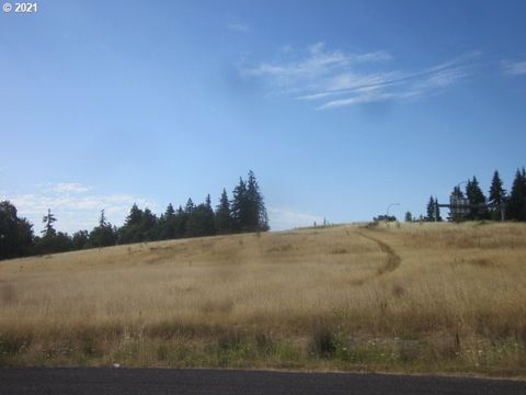 0 NE 209 ST Ridgefield WA 98642