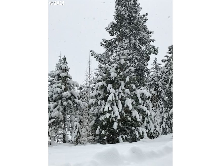 605 Sumpter Valley HWY 203