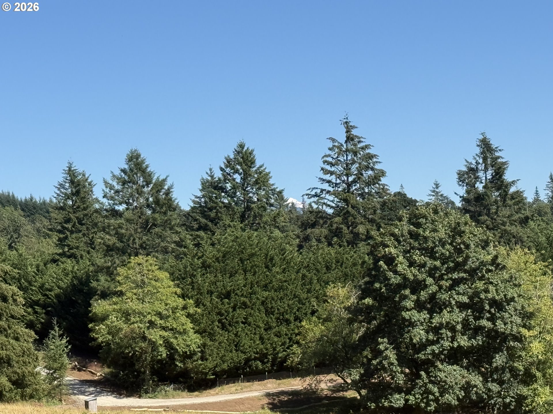 2318 SE 377th AVE Lot #6
