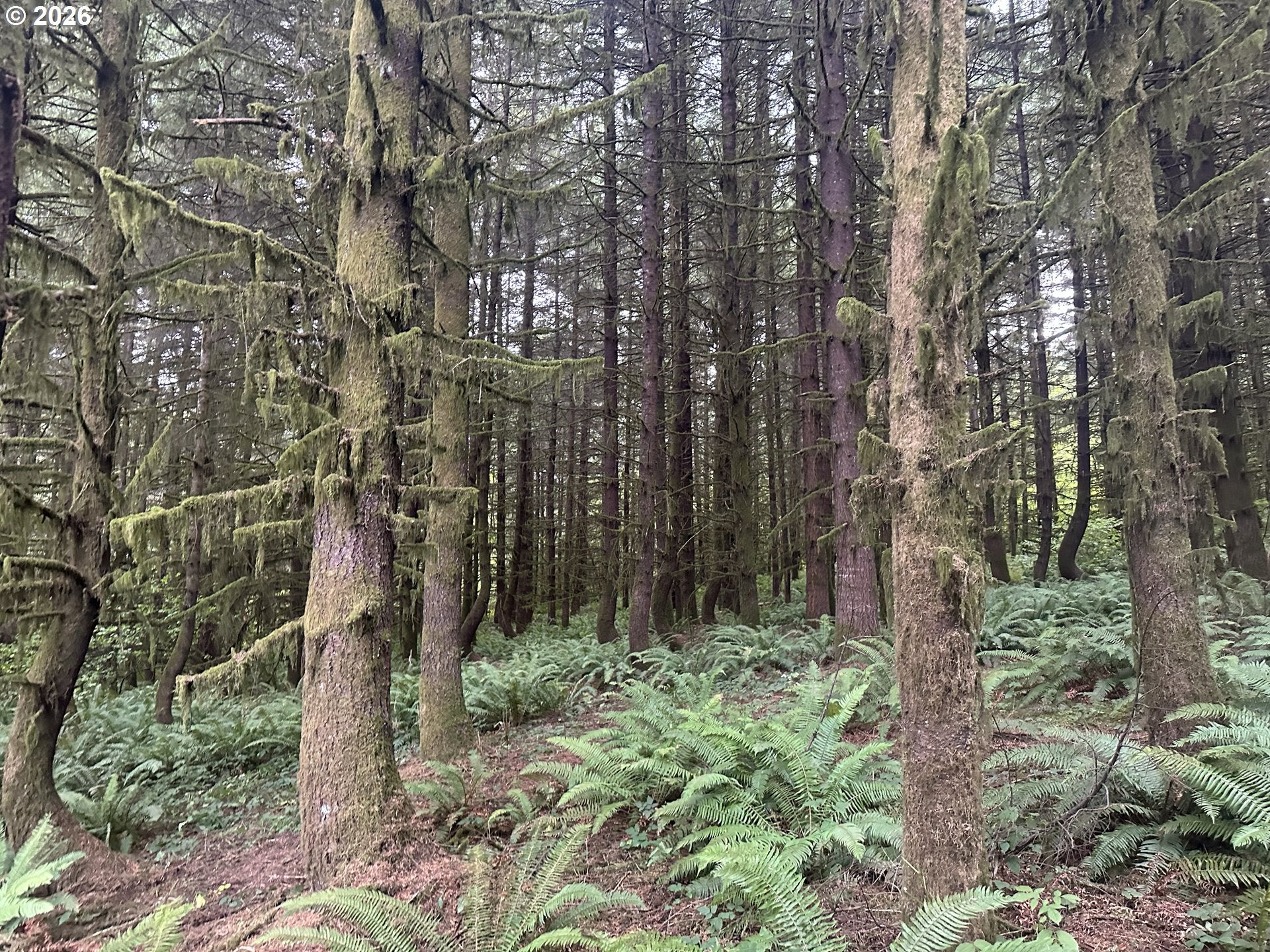 SW Finnigan Hill Rd
