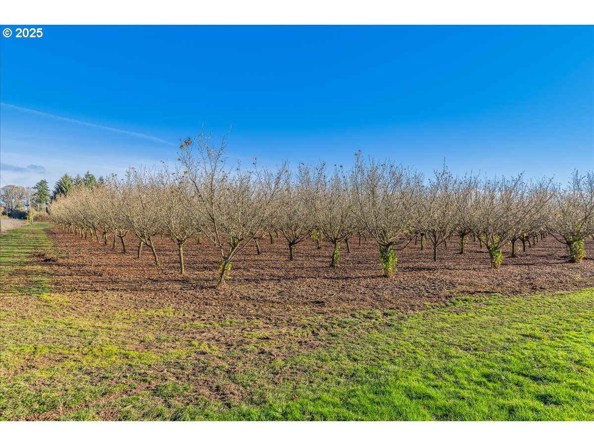 Hillsboro, Oregon 97123, United States, ,Residential,Active,248056