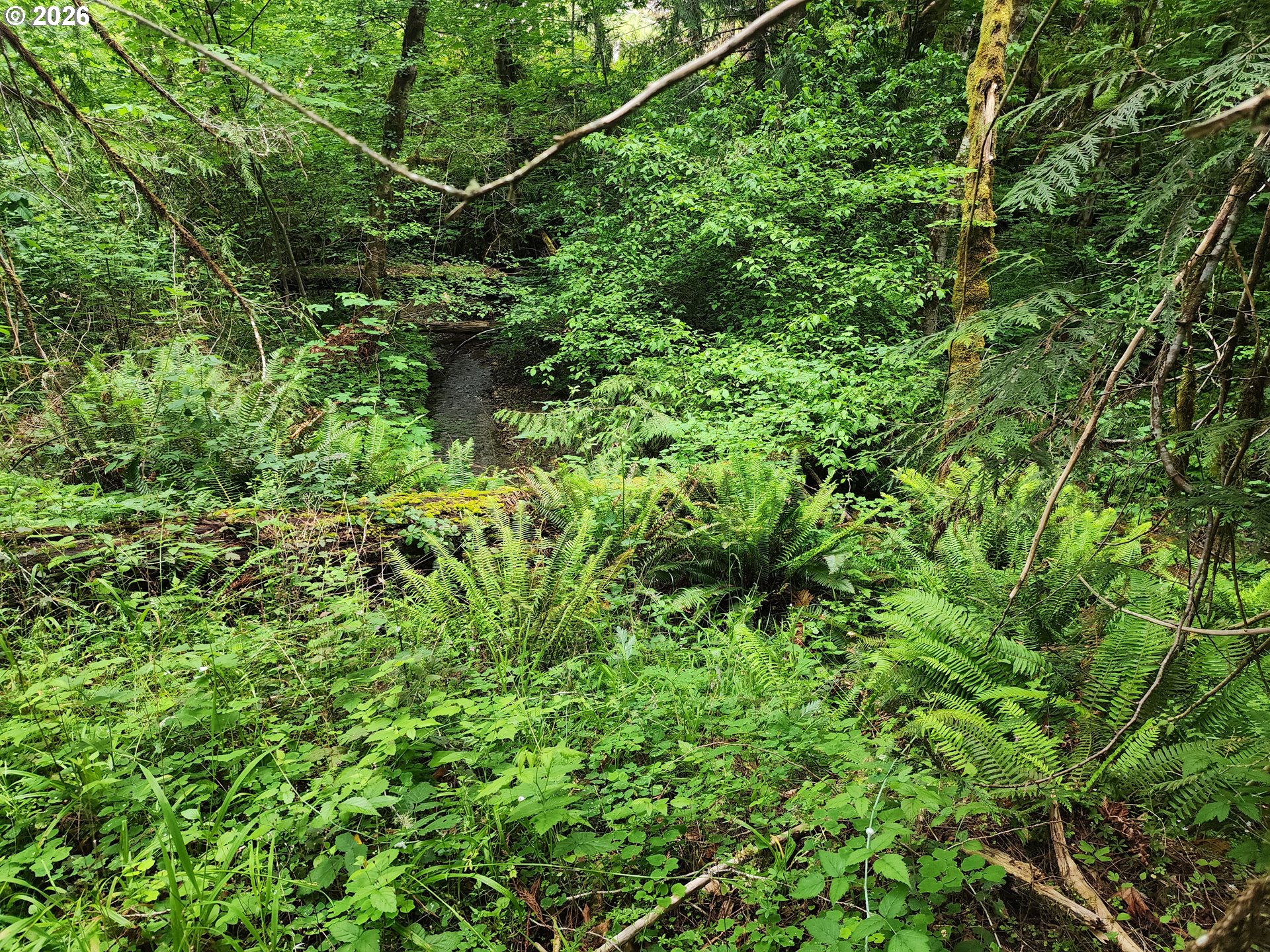 0 LOUIS CREEK RD