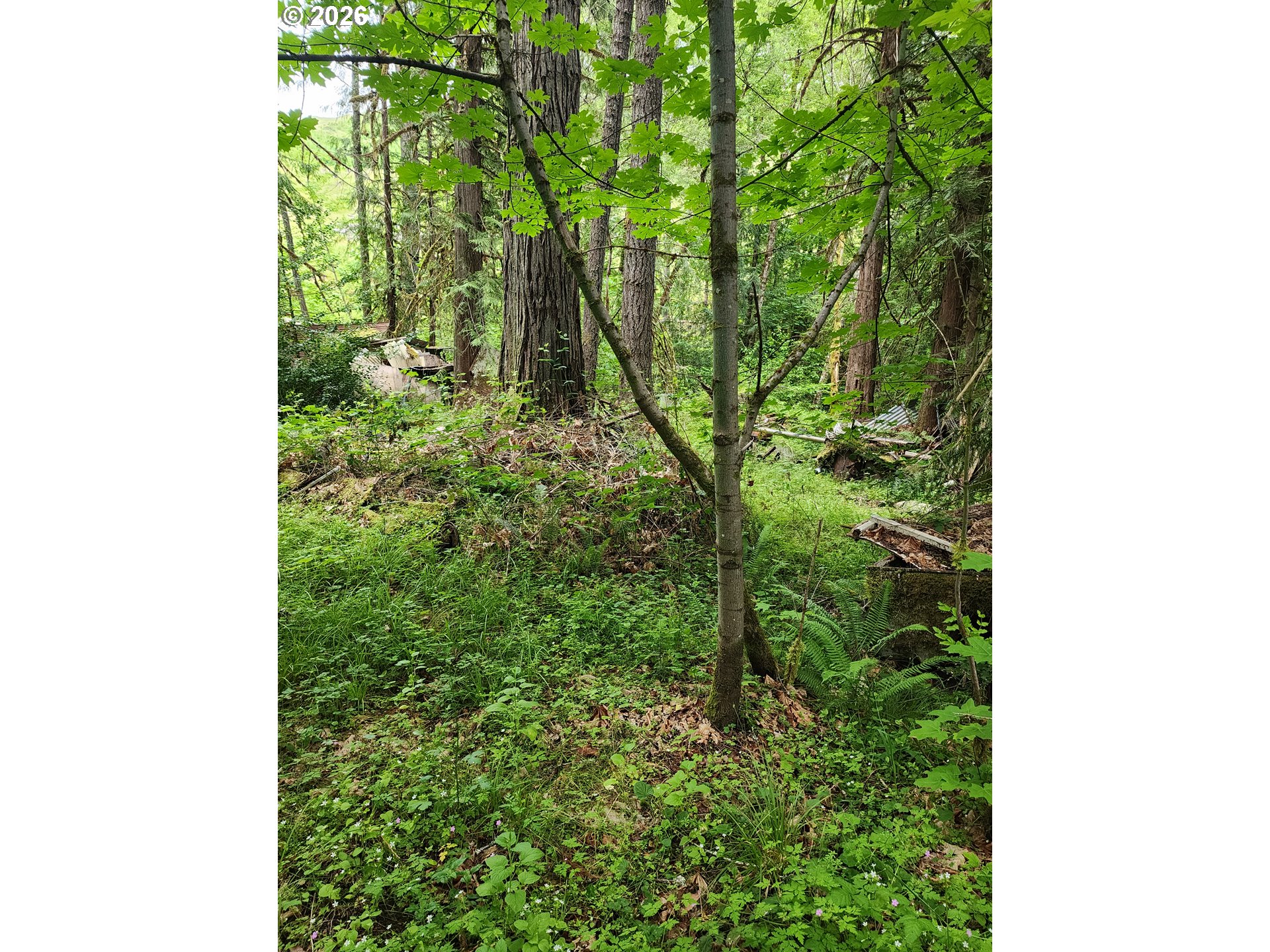 0 LOUIS CREEK RD