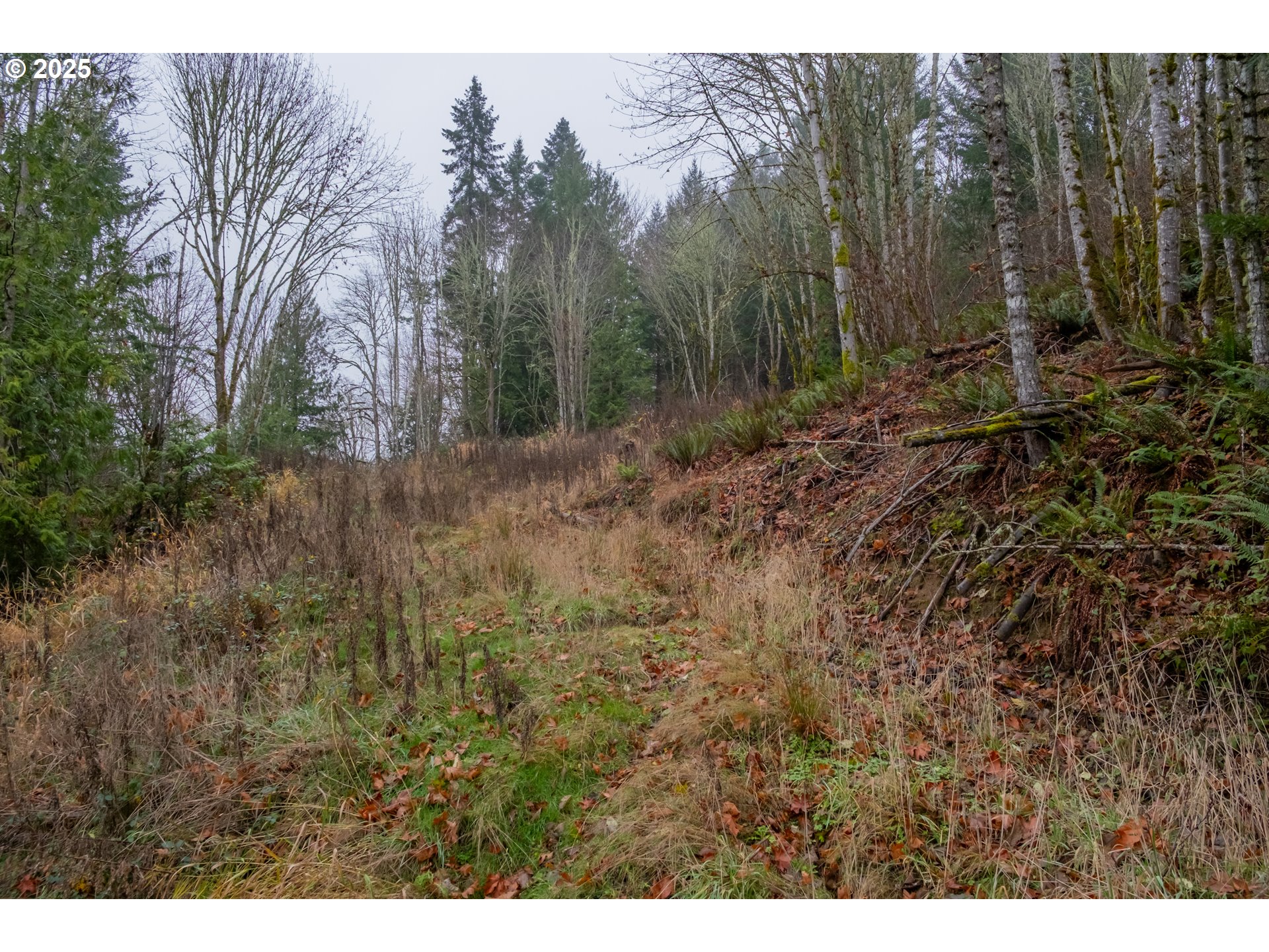 38353 SW LAURELWOOD RD