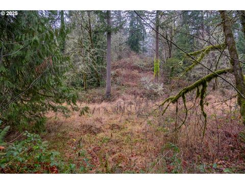 38353 SW LAURELWOOD RD Gaston OR 97119