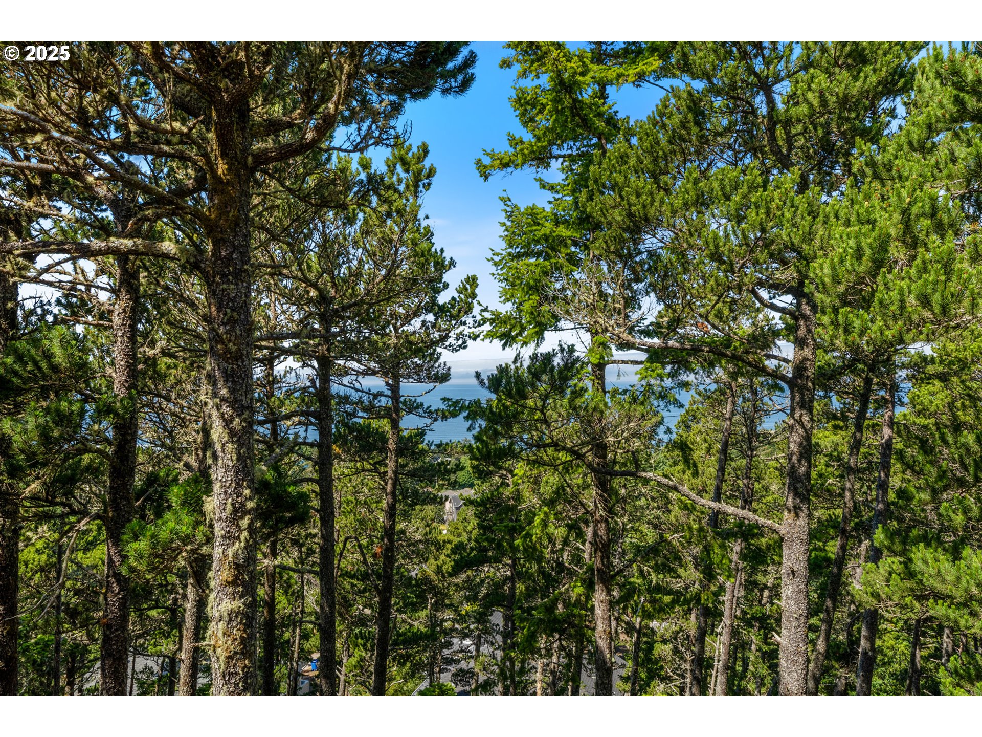 Oceanside, Oregon 97134, United States, 3 Bedrooms Bedrooms, ,3 BathroomsBathrooms,Residential,Active,165488