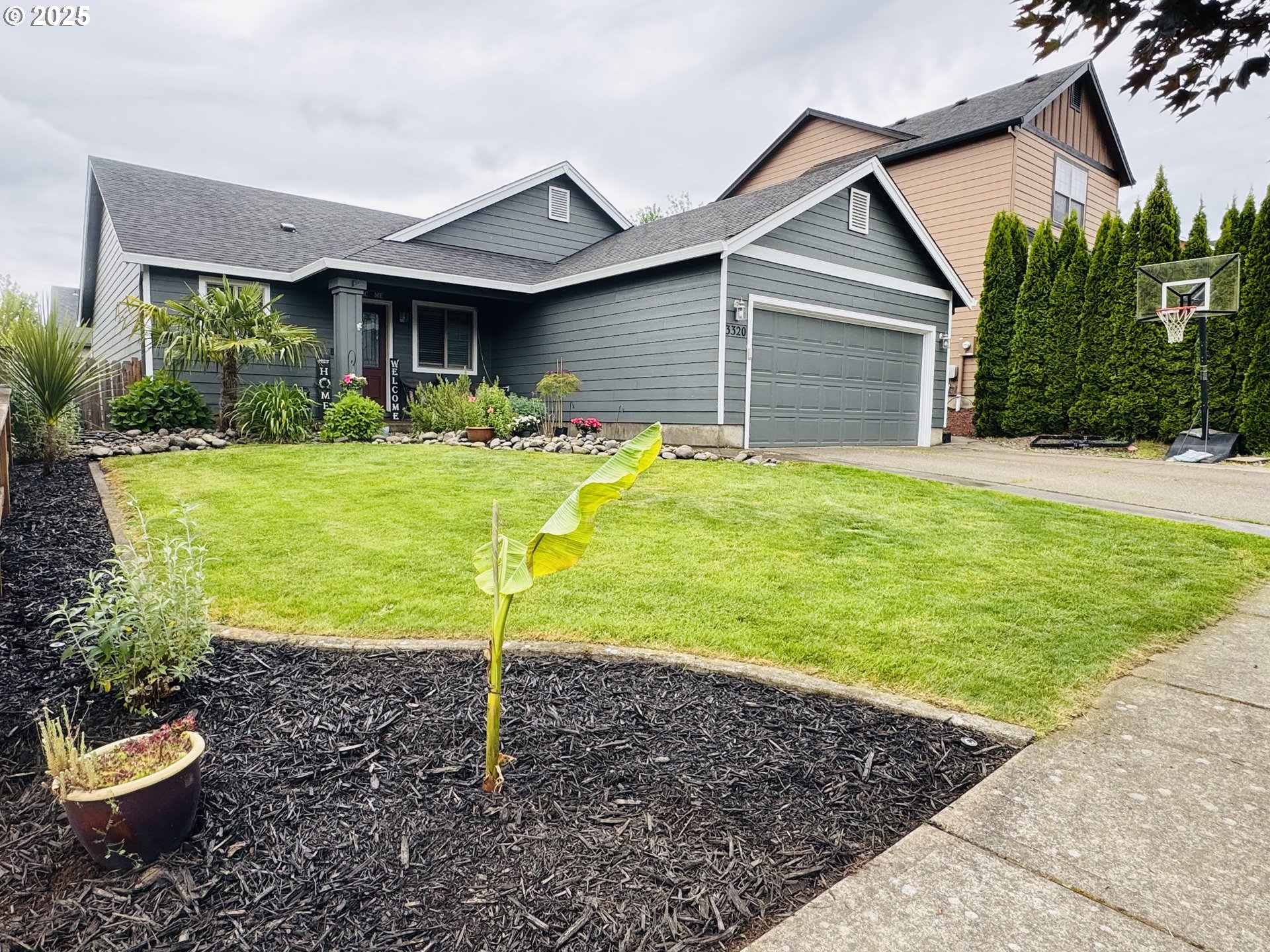 3320 DAFFODIL DR