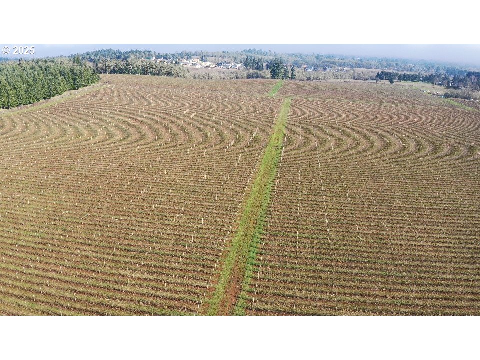 Dallas, Oregon 97338, United States, ,Residential,Active,16388