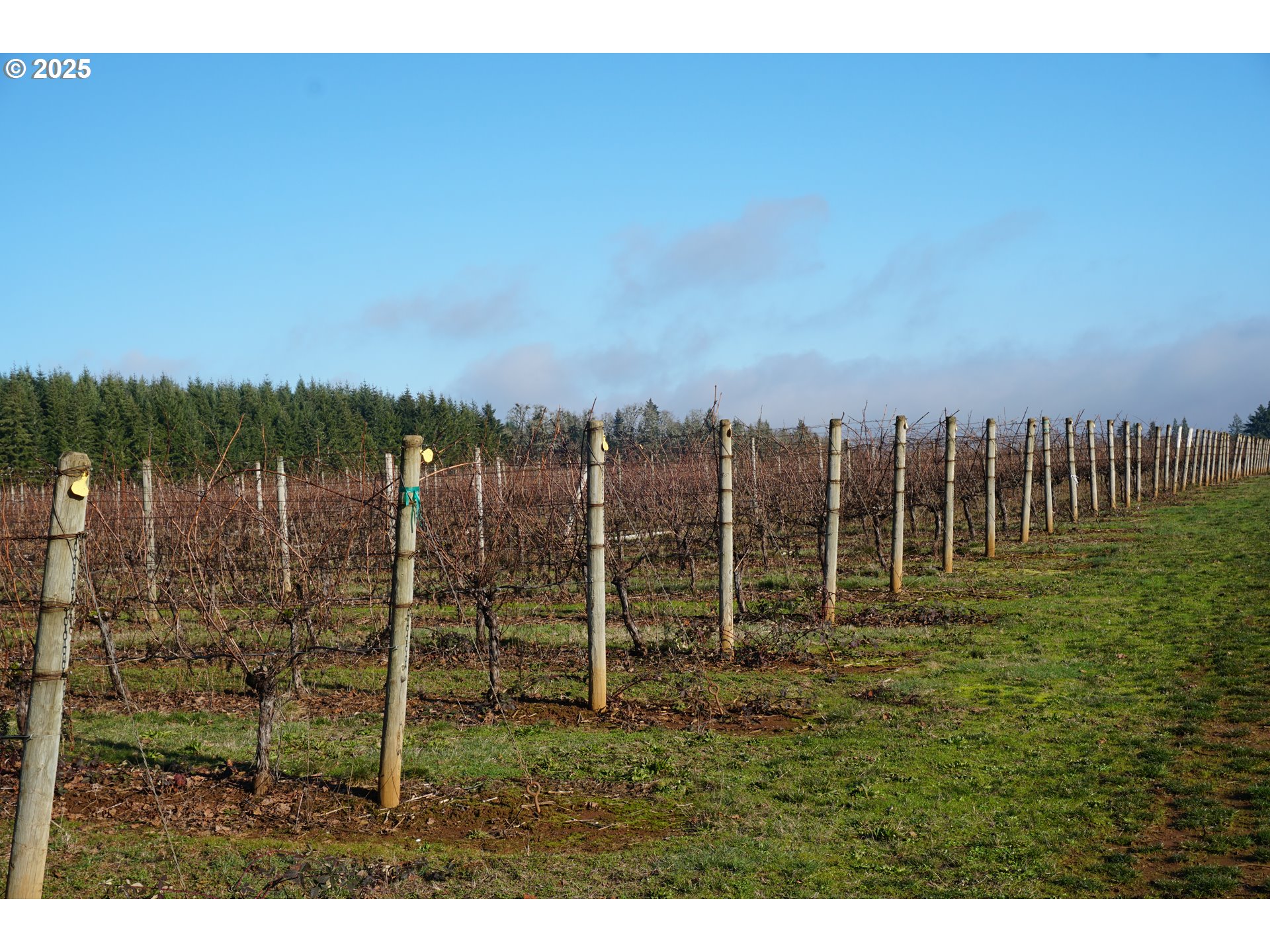 Dallas, Oregon 97338, United States, ,Residential,Active,16388