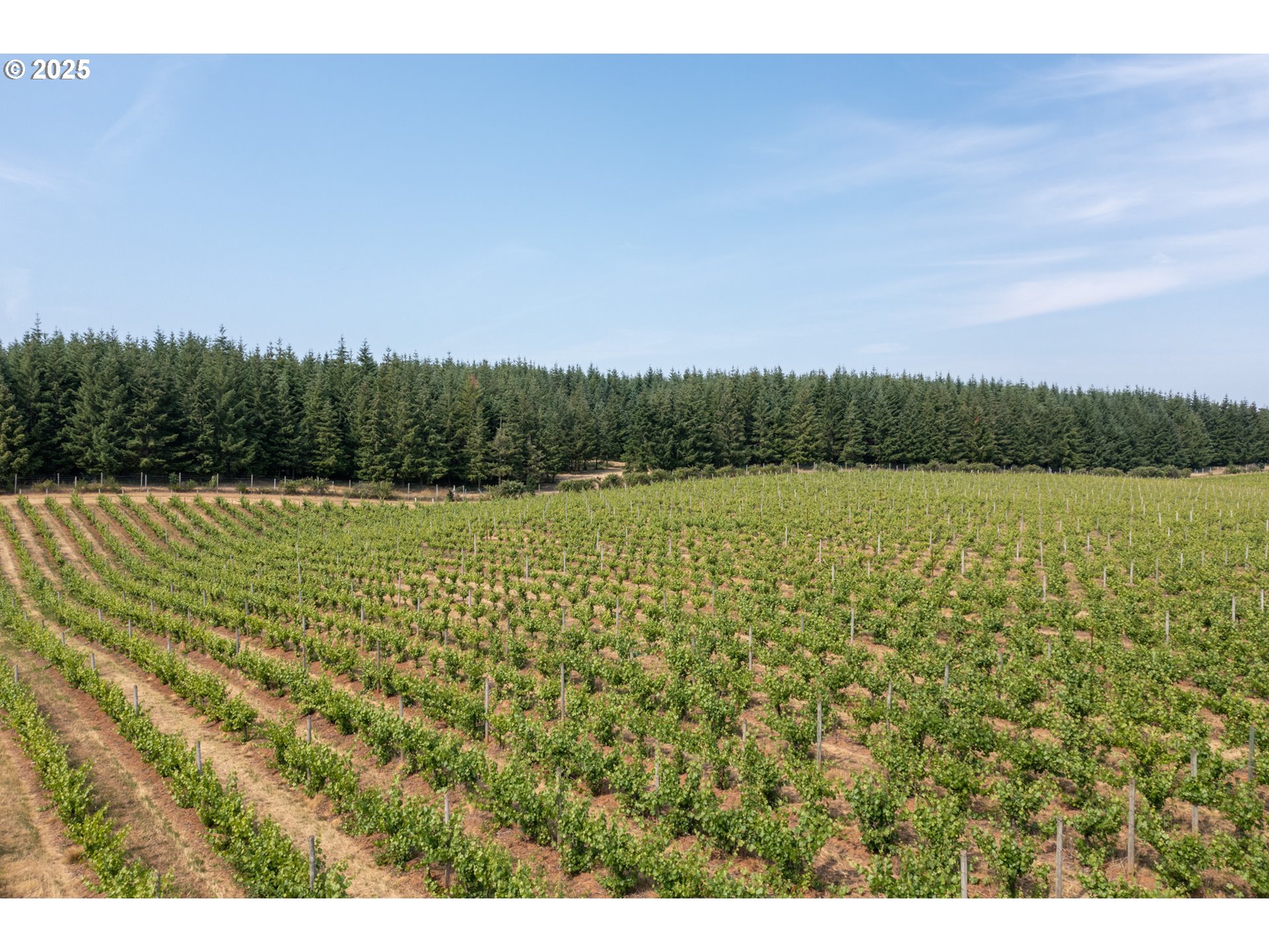 Dallas, Oregon 97338, United States, ,Residential,Active,16388