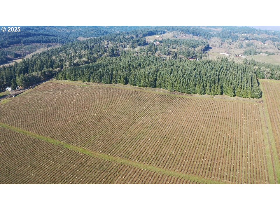 Dallas, Oregon 97338, United States, ,Residential,Active,16388