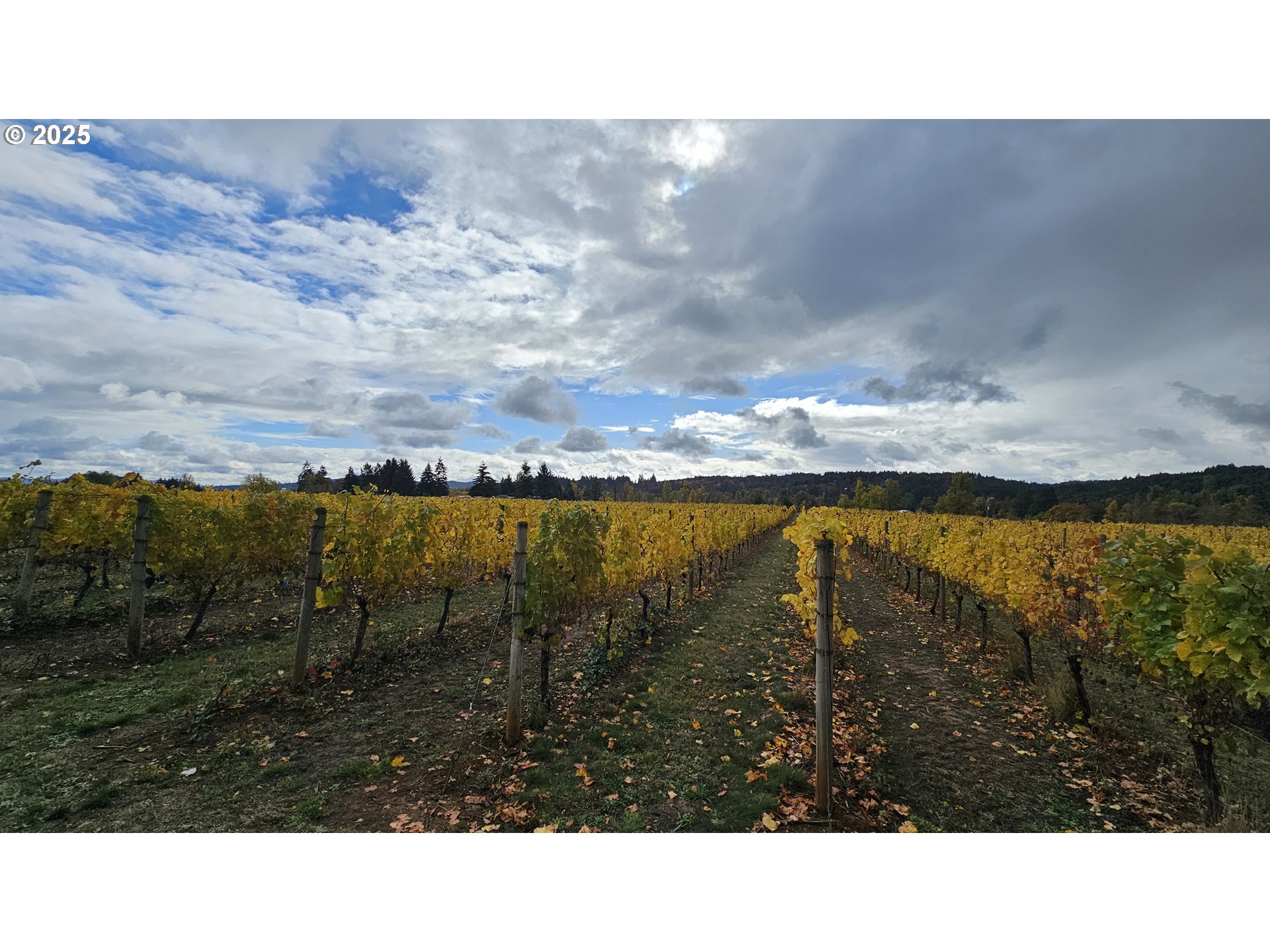 Dallas, Oregon 97338, United States, ,Residential,Active,16388