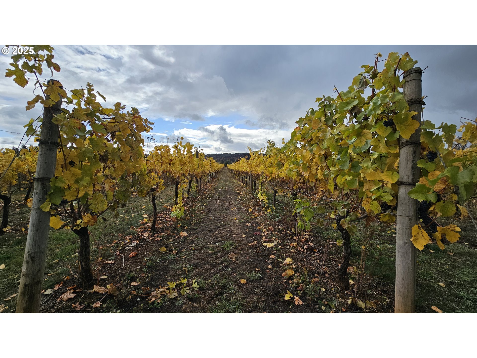 Dallas, Oregon 97338, United States, ,Residential,Active,16388