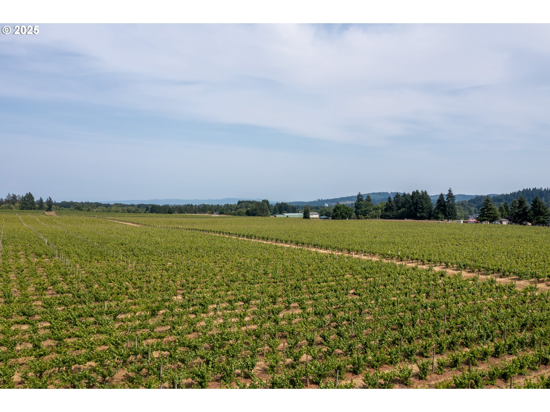 Dallas, Oregon 97338, United States, ,Residential,Active,16388