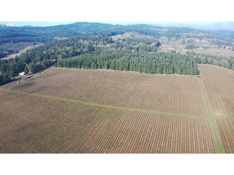 Dallas, Oregon 97338, United States, ,Residential,Active,16388