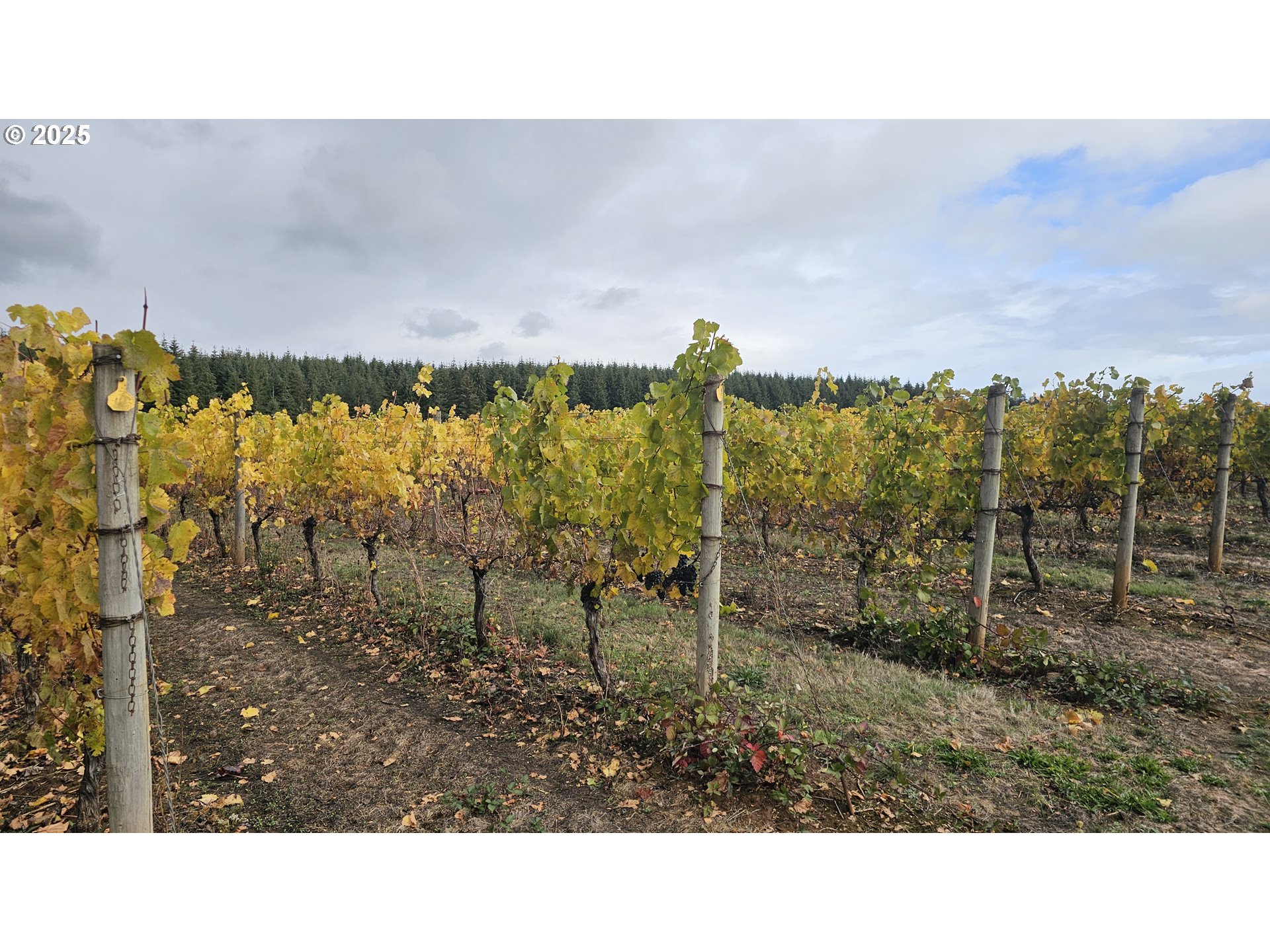 Dallas, Oregon 97338, United States, ,Residential,Active,16388