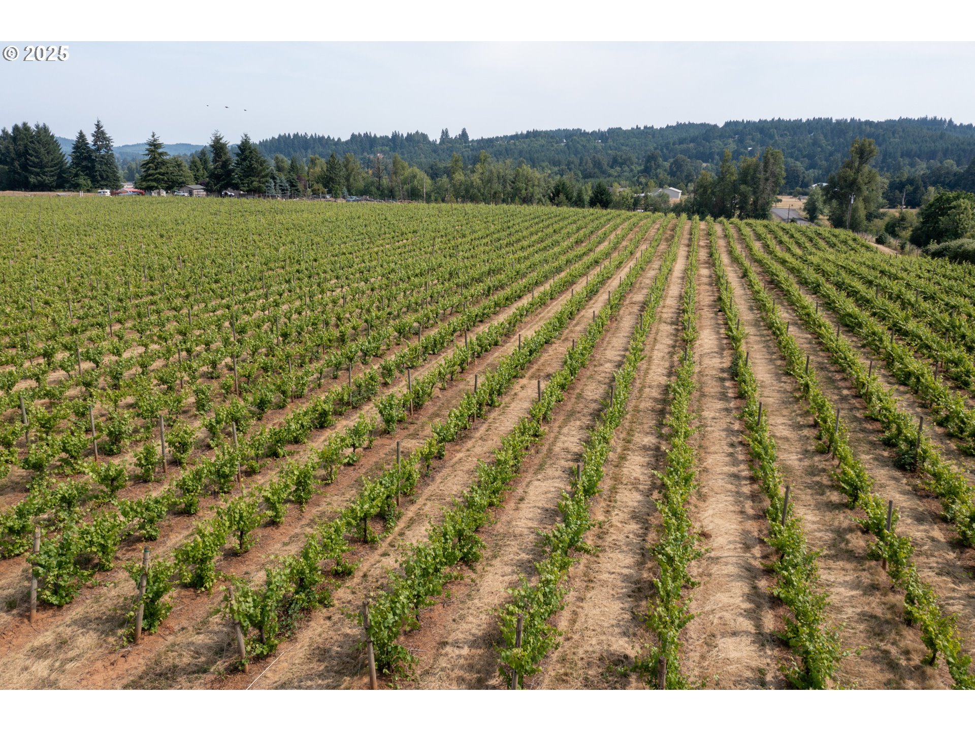 Dallas, Oregon 97338, United States, ,Residential,Active,16388