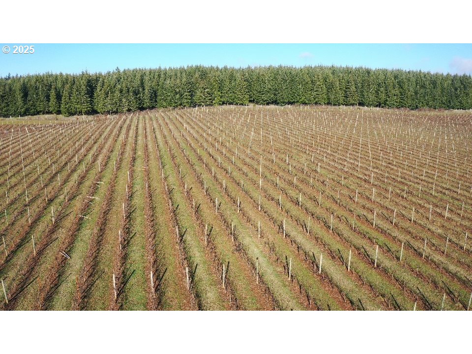 Dallas, Oregon 97338, United States, ,Residential,Active,16388