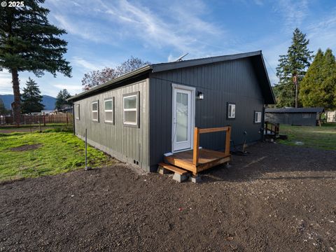 Photo of 47875 Elgin Ave, Oakridge, OR 97463 (MLS # 490125326)