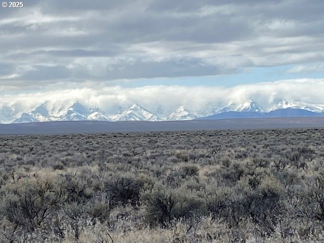 Jordan Valley, Oregon 97910, United States, ,Land,Active,238990