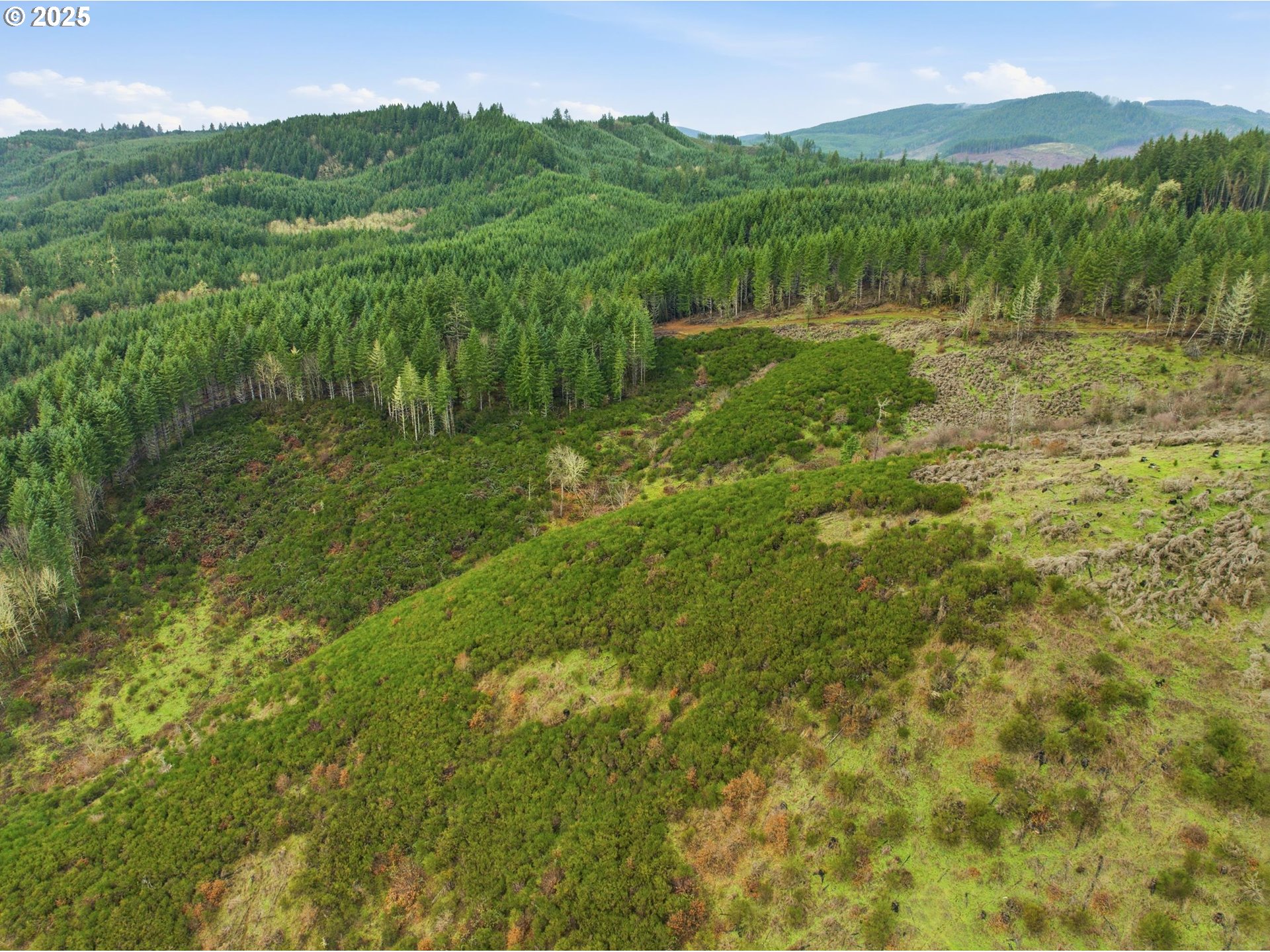 26601 SW THOMSON MILL RD